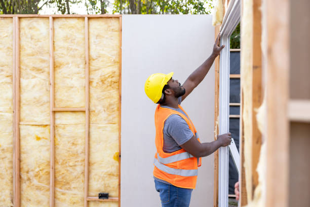 Best Wall Insulation Contractor  in Townsend, DE